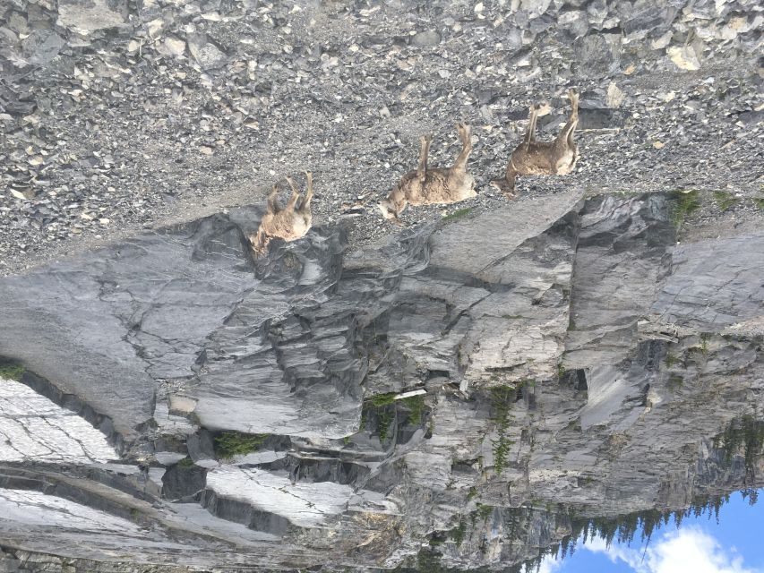 Canmore: Ha Ling Peak & Summit - Key Points