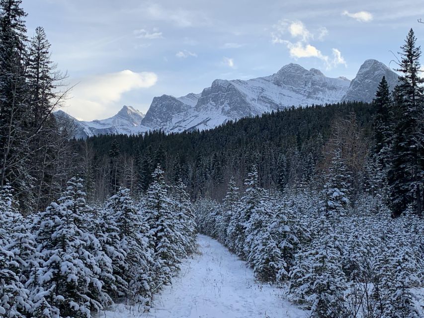 Canmore: Lost Towns and Untold Stories - Hiking Tour 3hrs - Key Points