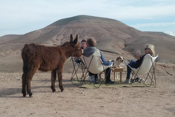 Cannot Get to the Sahara Desert. Visit Agafay Desert Instead! - Key Points