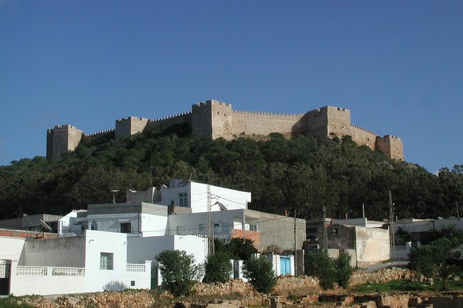 Cap Bon Guided Day Tour From Tunis - Key Points