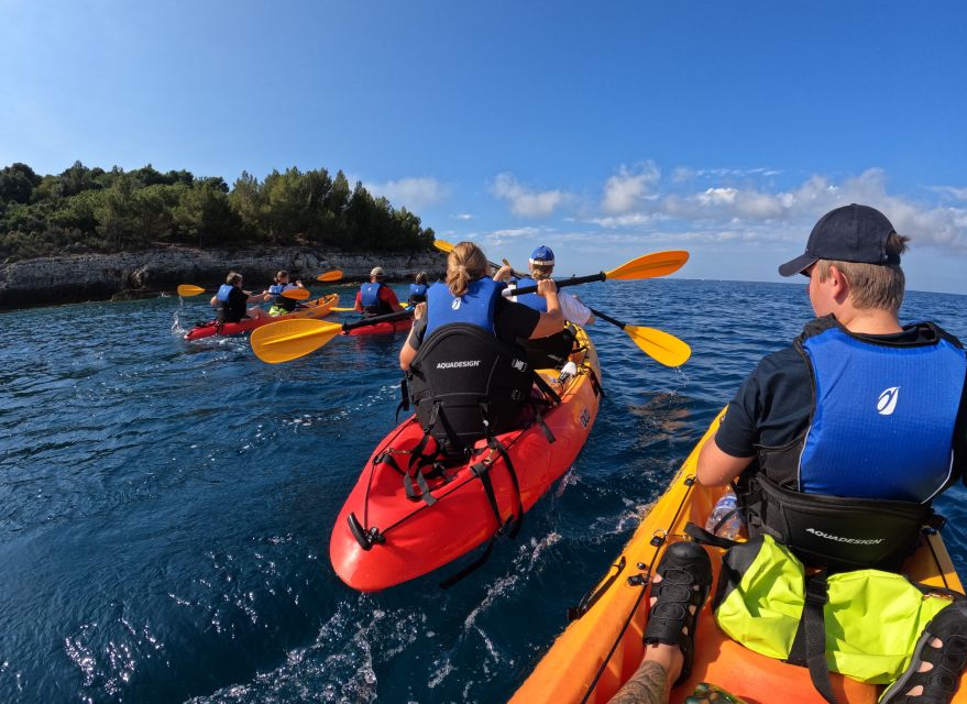 Cape Kamenjak: Guided Kayak Tours Snorkeling, Cave & Cliff - Key Points