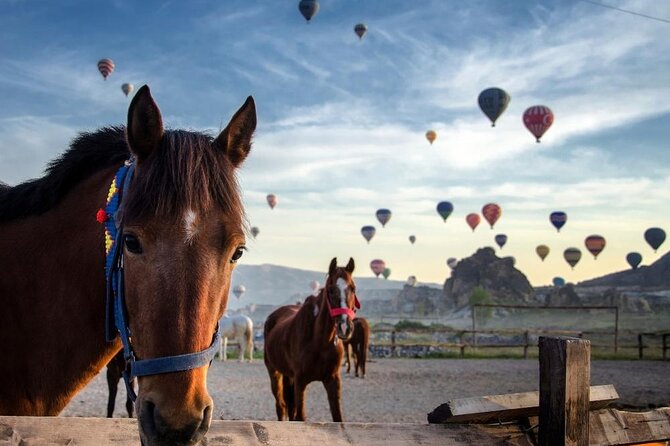 Cappadocia Horse Riding Experience Sunrise Sunset Daytime - Key Points