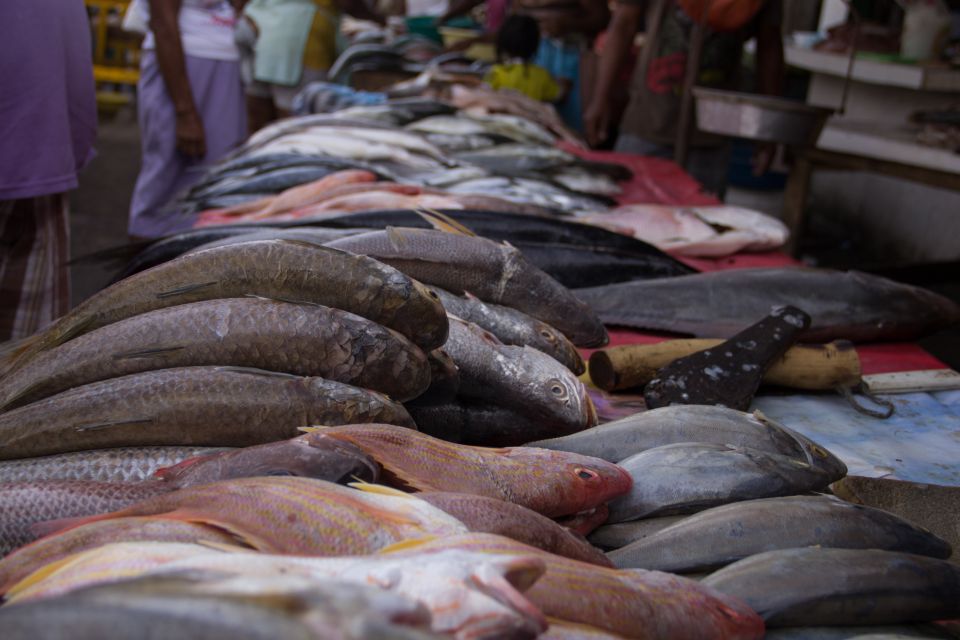 Cartagena: 3-Hour Bazurto Market Tour - Key Points