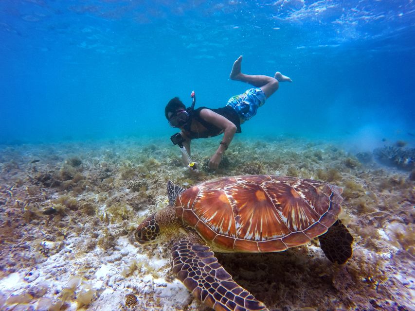 Cartagena: 5 Islands Boat Tour With Lunch, Snorkeling, & Bar - Key Points