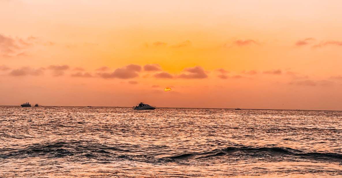 Cartagena: Barú Sunset Beach With Bioluminescent Plankton - Key Points