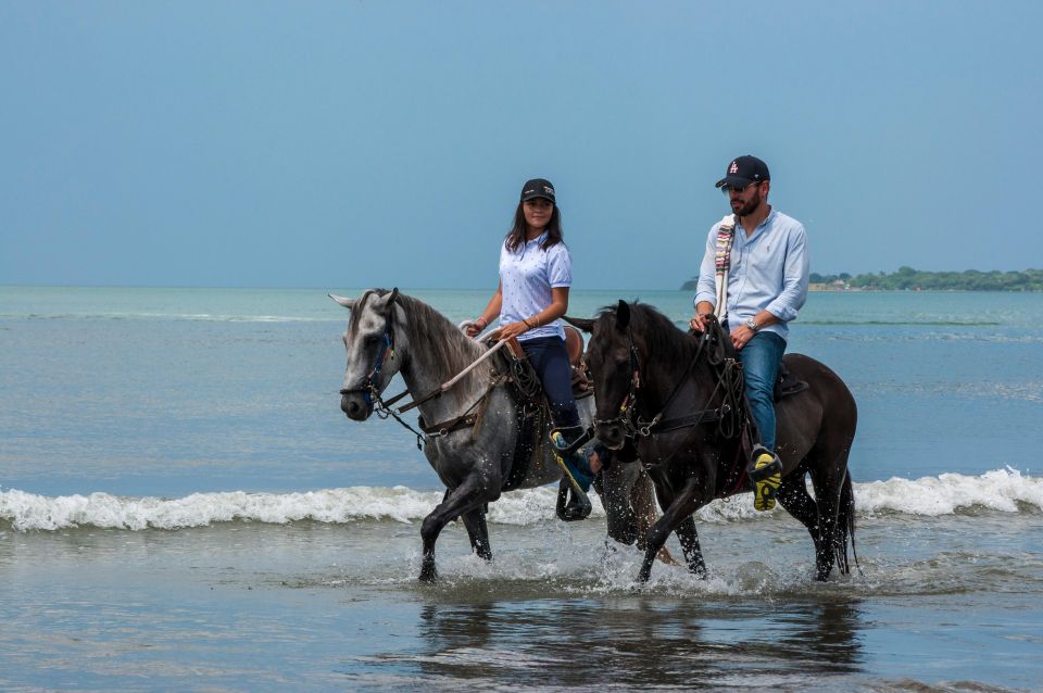 Cartagena: Beach Horse Ride and Colombian Horse Culture - Key Points