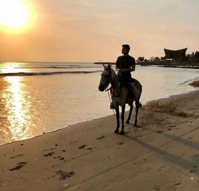 Cartagena: Horseback Ridding Excursion on the Beach - Key Points