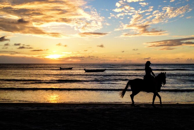 Cartagena: Horseback Riding Along The Beach (Dont Overpay) - Key Points