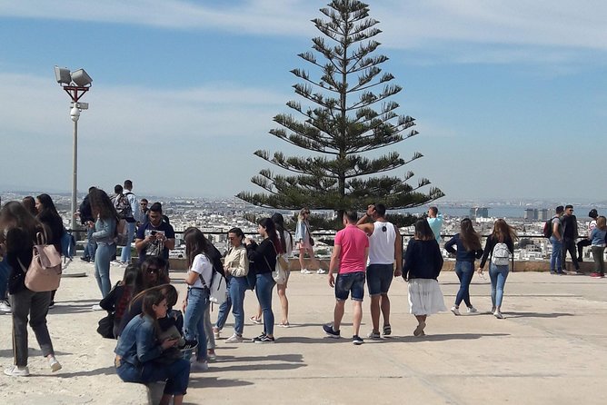 Carthage"Sidi Bou Said" "Medina" From Tunis or Hammamet - Key Points