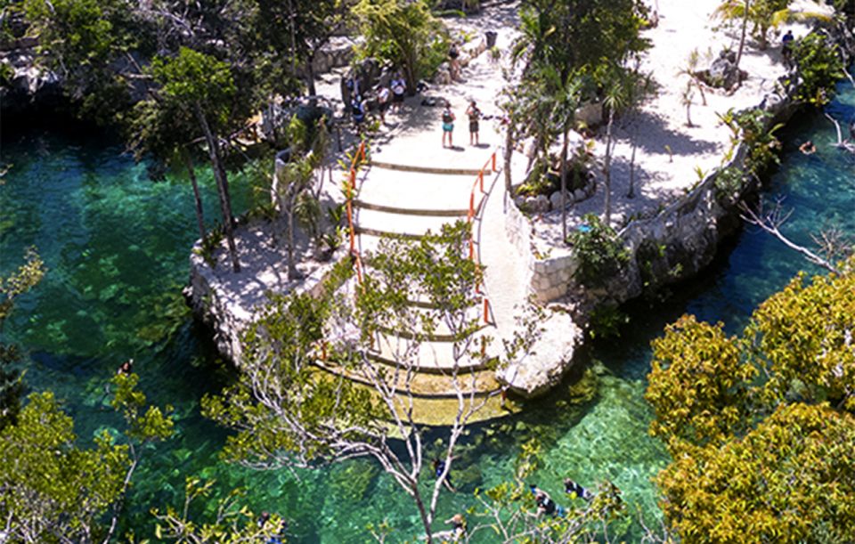 Casa Tortuga Cenotes Guided Full-Day Tour - Key Points