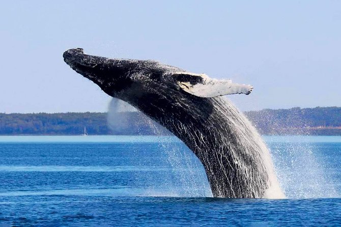 Charlevoix, Grand Canyo and Whale Watching 2 Days Tour - Key Points