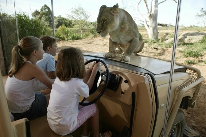 Cheetah Encounter at Werribee Open Range Zoo - Excl. Entry - Key Points