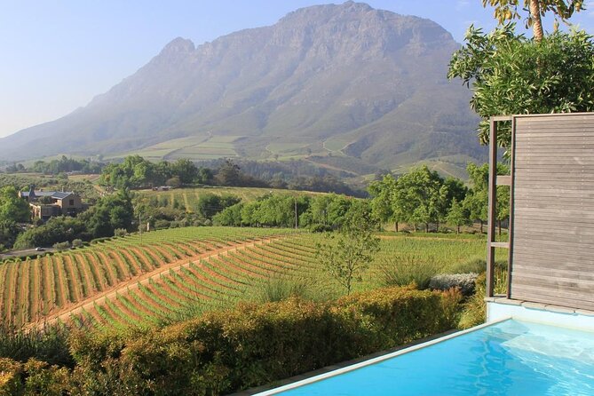 Cheetah Outreach and Award-Winning Winelands Full Day Tour - Key Points