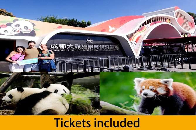 Chengdu Panda Base Half Day Tour - Key Points