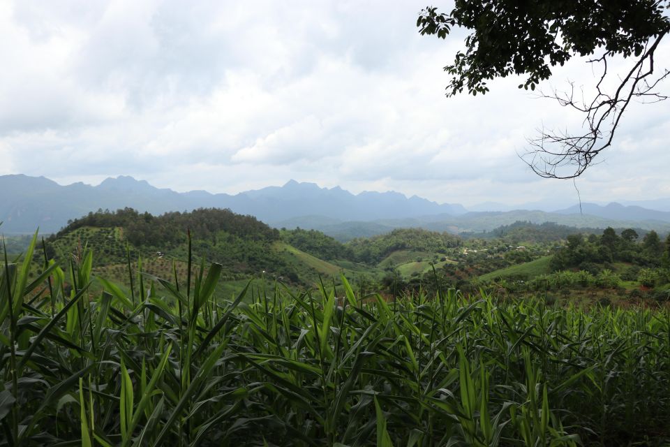 Chiang Mai: Chiang Dao Cave, Sticky Waterfall With Longneck - Key Points