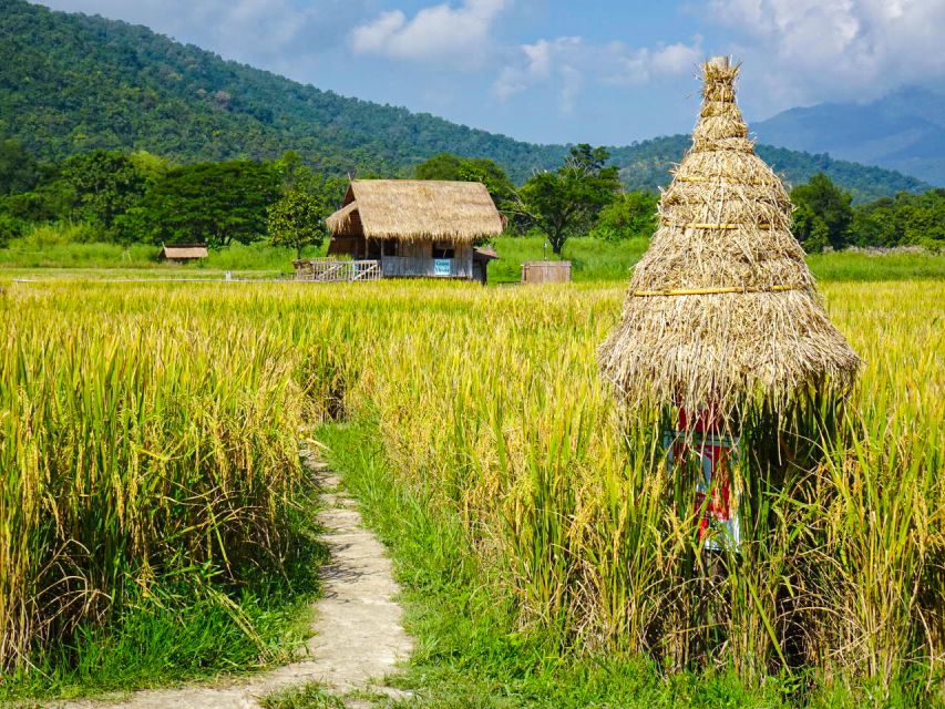 Chiang Mai: Doi Suthep, Wat Pha Lat & Wat Umong Spanish Tour - Key Points