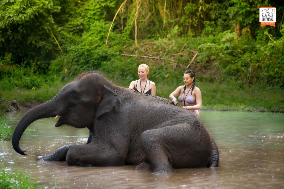 Chiang Mai: Elephant Jungle Sanctuary With Lunch & Transfer - Key Points