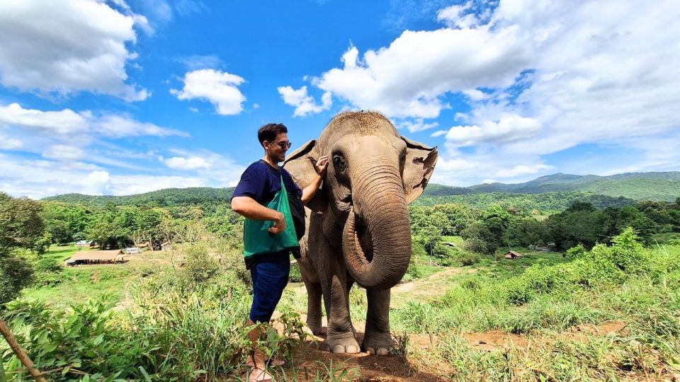 Chiang Mai: Elephant Sanctuary With Lunch Day Tours - Key Points