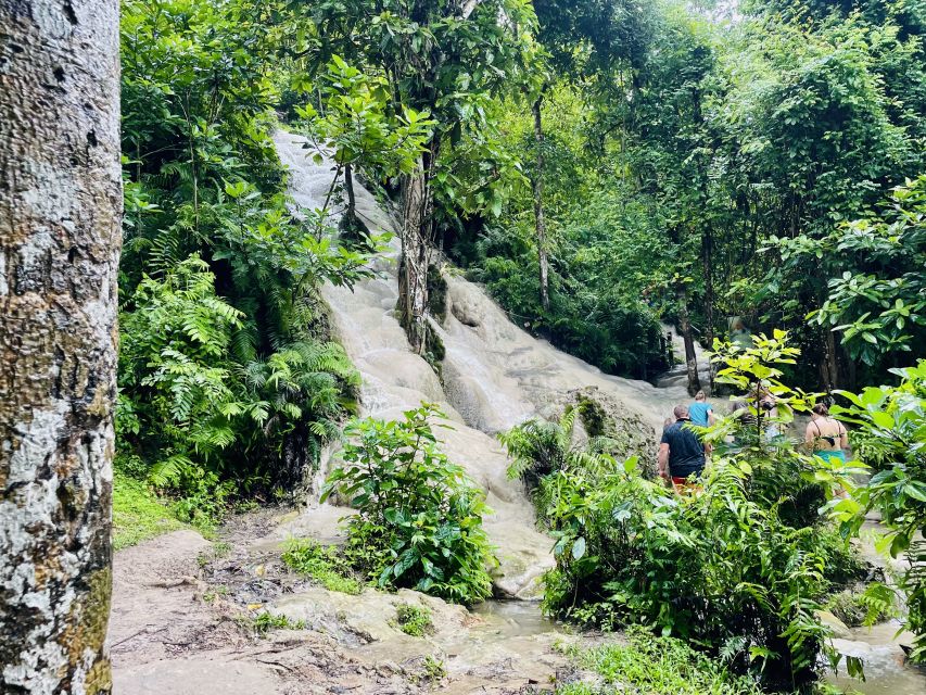 Chiang Mai: Enjoy Climbing Sticky Waterfall - Key Points