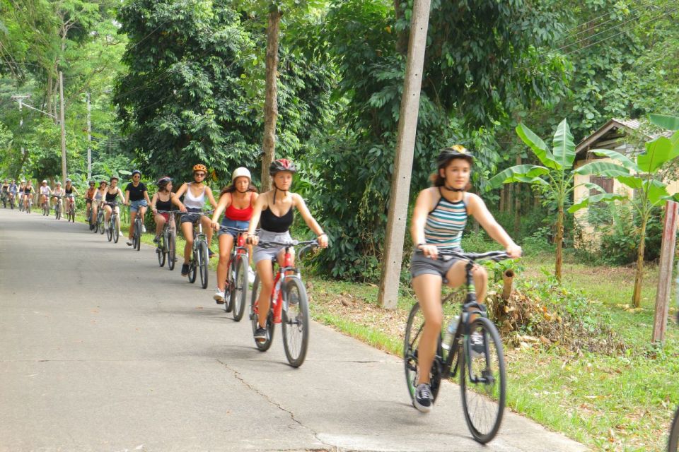 Chiang Mai: Full-Day Guided Bike & Regional Culture Tour - Key Points