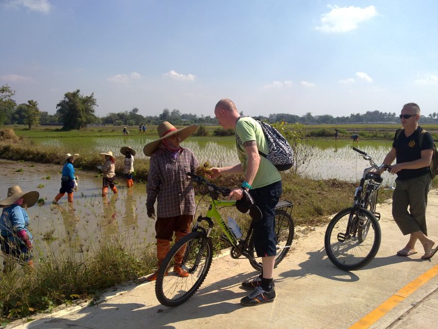 Chiang Mai Paradise Full Day Bicycle Tour - Key Points