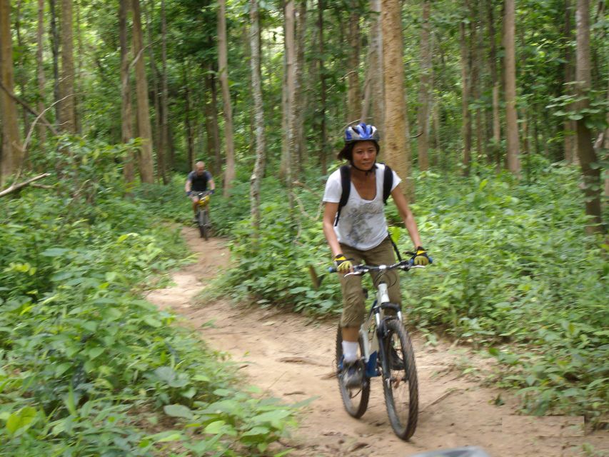 Chiang Mai: Rainforest Guided Mountain Biking Tour - Key Points
