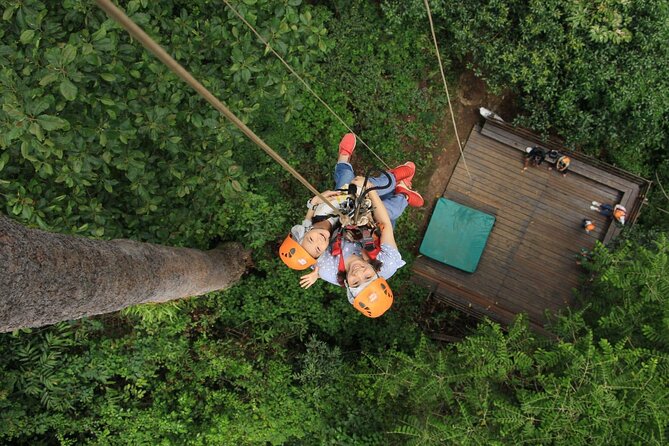 Chiang Mai Zip Line Experience - Key Points