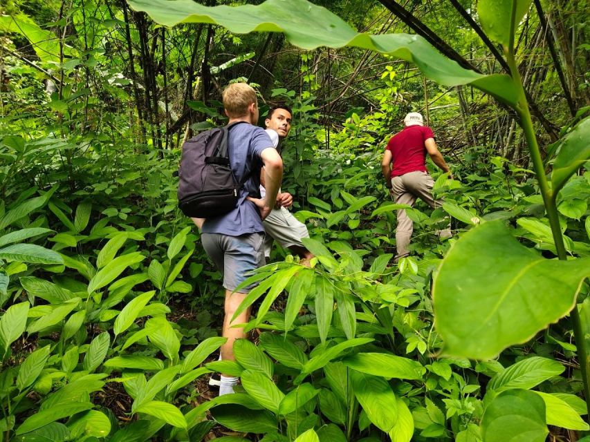 Chiang Rai: Jungle Adventure-Group Trekking & Bamboo Cooking - Key Points