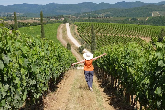 Chianti Lovers Tour- 2 Wineries and Supertuscan Small Group From Lucca - Key Points