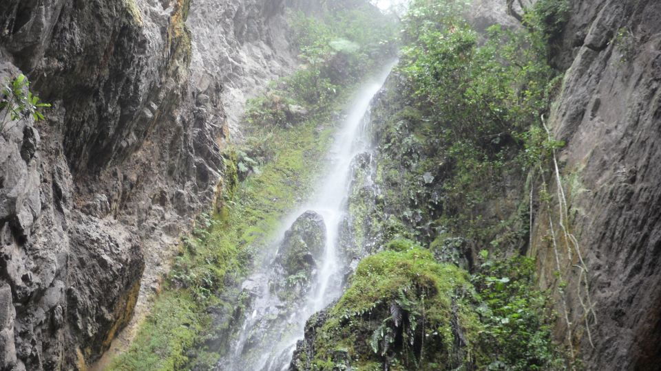 Chicaque Full-Day Trip From Bogotá - Key Points