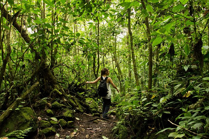 Chicaque National Park - Key Points