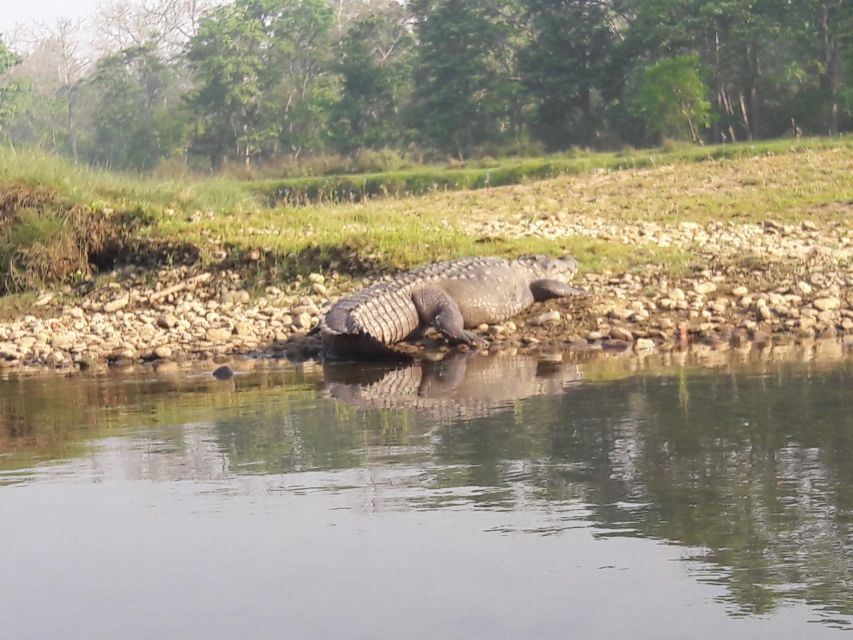 Chitwan National Park Safari - Key Points