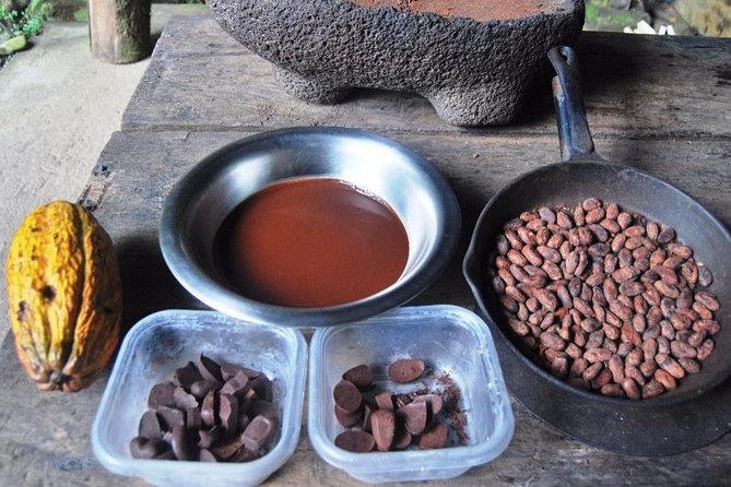 Chocolate Tour in Indigenous Area Bribri & Cahuita National Park - Key Points