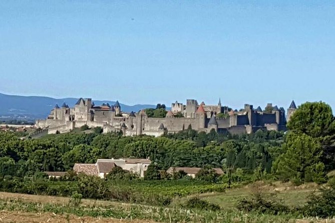 Cité De Carcassonne and Canal Du Midi Private Half Day Tour From Toulouse