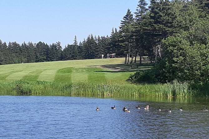 City Tour of Historic Charlottetown Prince Edward Island - Key Points