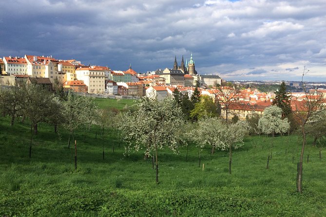 City Tour to the Top 10 Sights in Prague