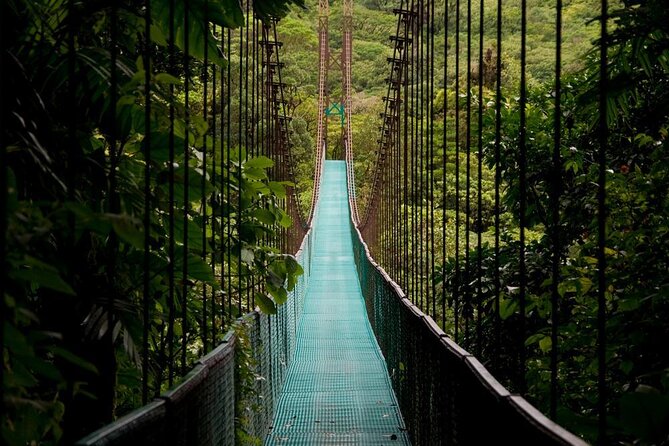 Class II-III Rafting and Hanging Bridges From La Fortuna - Key Points