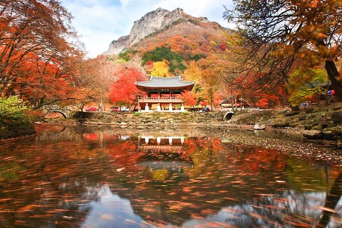 Classic Naejangsan National Park One Day Tour (Autumn Limited） - Key Points