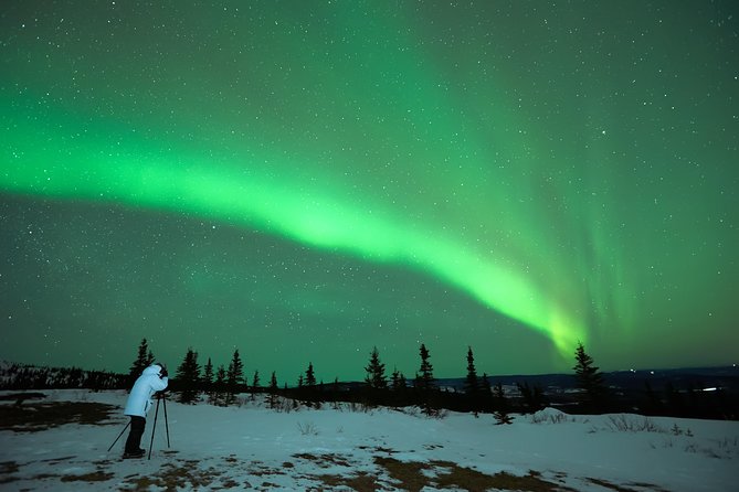 Classic Northern Lights Tour From Reykjavik With Live Guide and Touch-Screen Audio Guide - Key Points