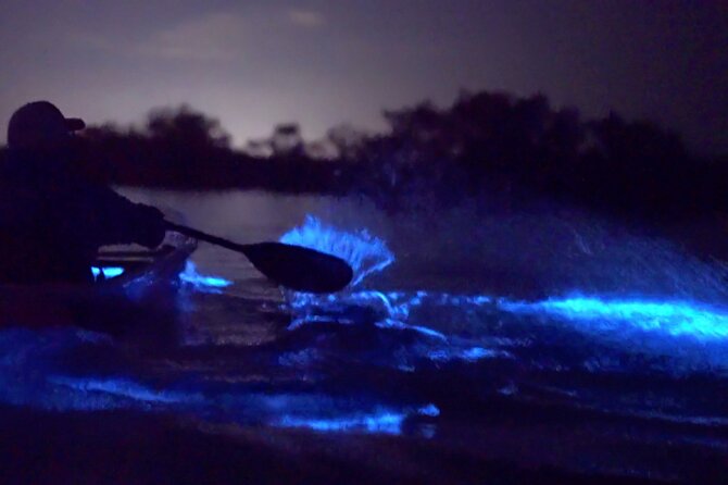 Clear Kayak Florida Bioluminescence Tour Beacon 42 (Titusville) - Key Points