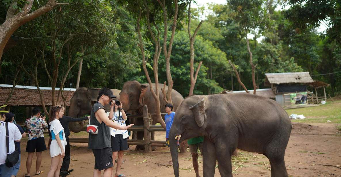 CM: Private Elephant Care, Rafting, Long Neck Karen&Ziplines - Key Points