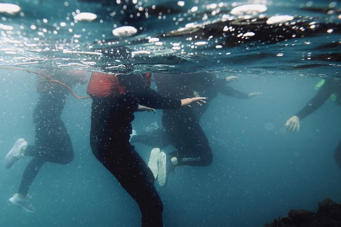 Coasteering Experience in Newquay - Key Points