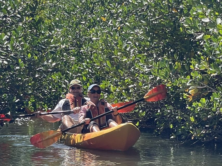Cocoa Beach: Daytime Guided Kayak Eco-Tour - Key Points