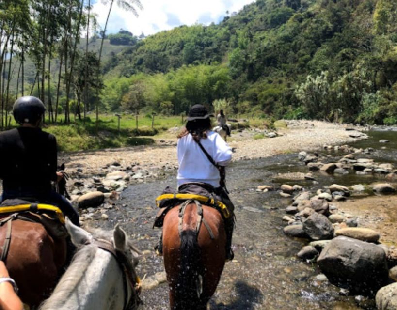 Cocora Valley and Salento Tour With Horseback Ride - Key Points