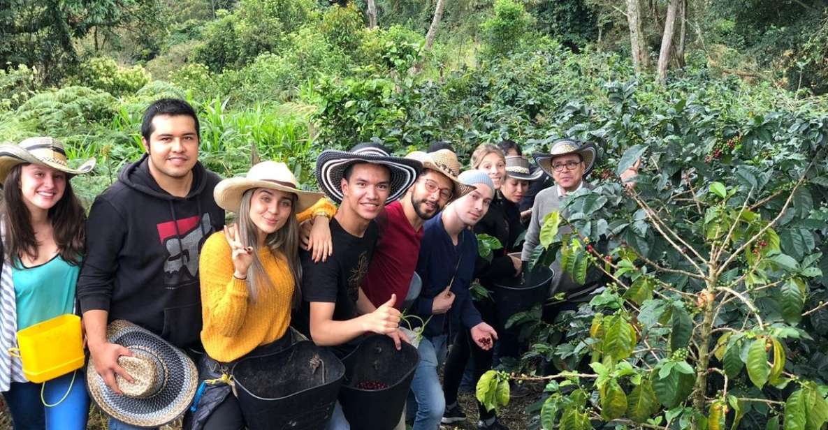 Cocora Valley, Salento and Coffee Farm Tour - Key Points