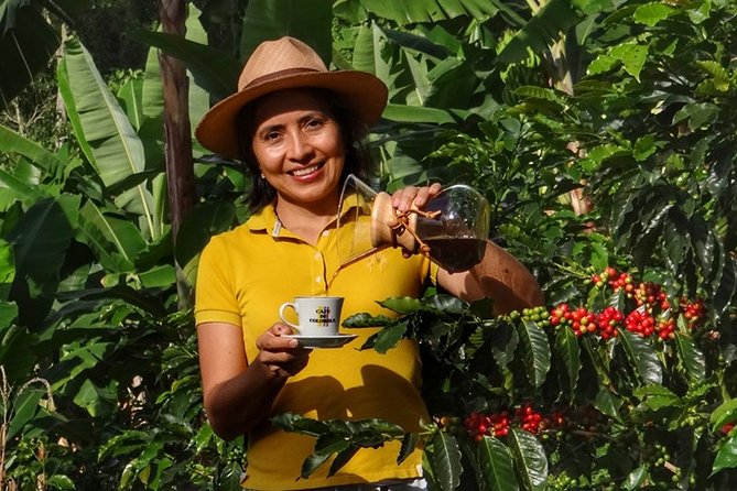 Coffee Plantation Small-Group Tour  - Pereira - Key Points