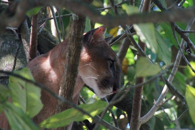 Corcovado Tour-1 Night at Sirena Station-Starting and Finishing in Drake Bay - Key Points