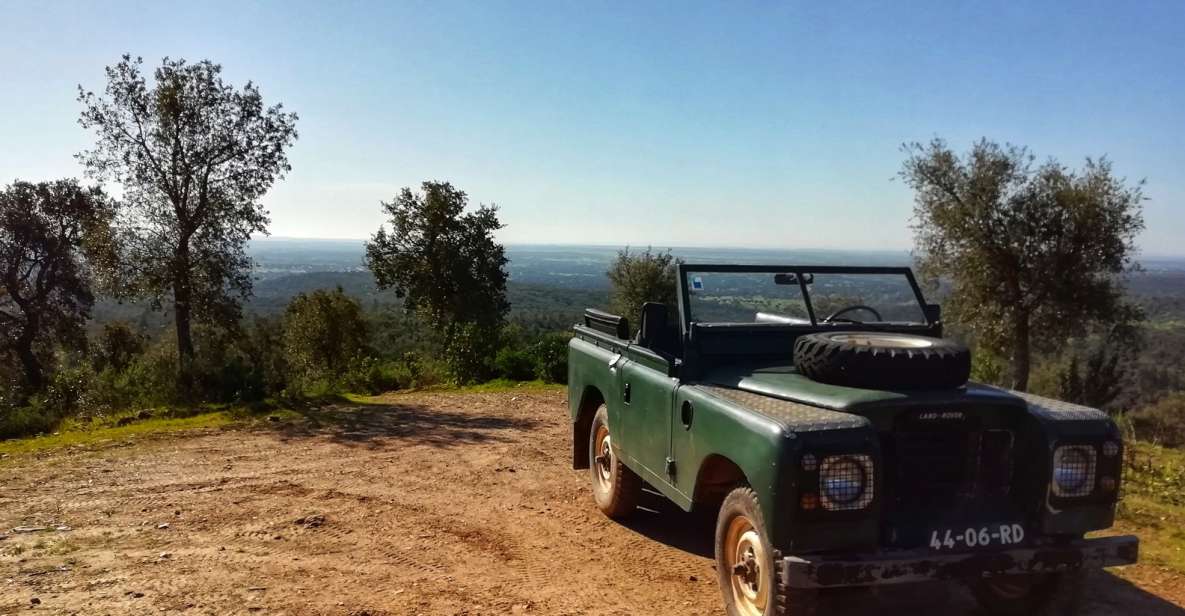 Cork Safari in a Classic Land Rover With Optional Lunch - Key Points