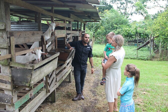 Costa Rica Descents Organic Farm - Key Points