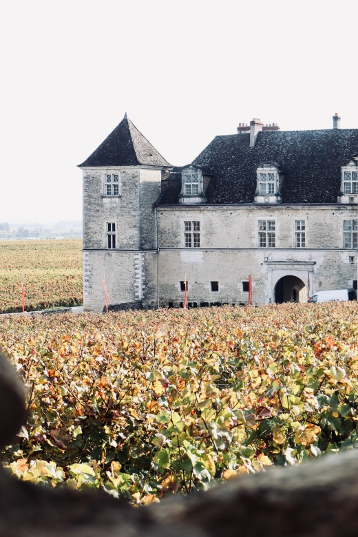 Côte De Beaune and Côte De Nuits : Private Full Day Winetour - Key Points